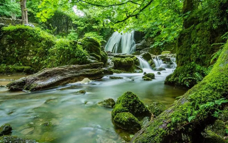 绿色高效智能系统